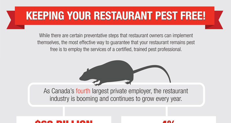 Truly Restaurant Infographic