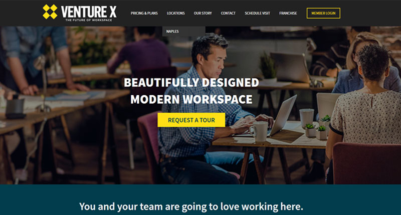 Venture X Website